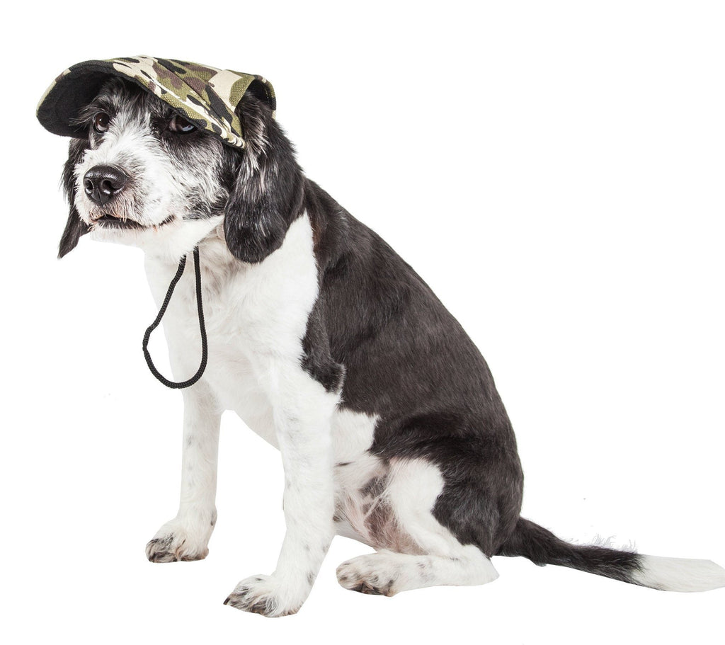 Camouflage dog hat cap with chin tie cords; black-and-white dog wearing it