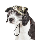 Camouflage dog hat cap with chin cords, worn by black-and-white dog