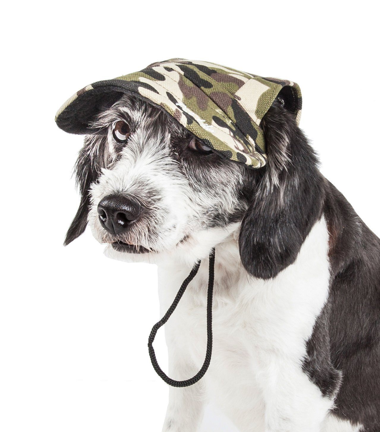Camouflage dog hat cap with chin cords, worn by black-and-white dog