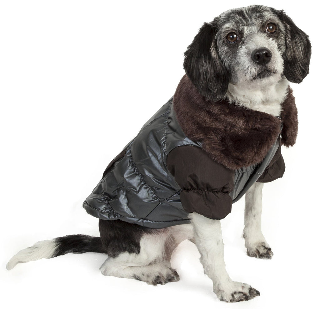 Sitting dog wearing dark gray metallic insulated jacket with faux-fur track collar