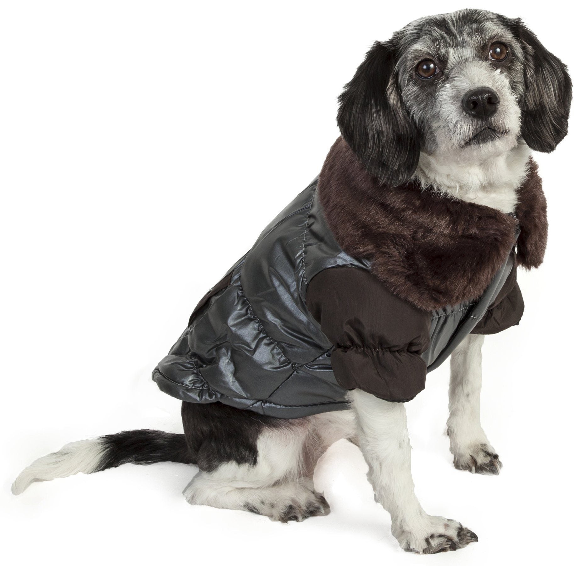 Sitting dog wearing dark gray metallic insulated jacket with faux-fur track collar