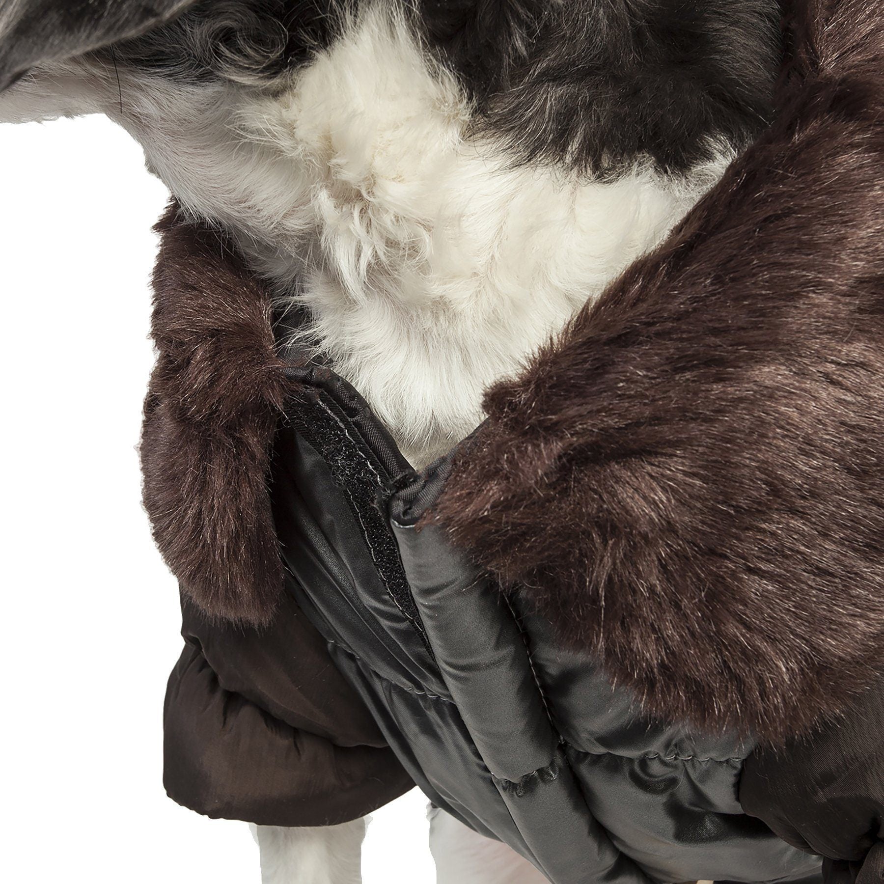 Close-up of dark metallic dog jacket with brown faux-fur collar trim