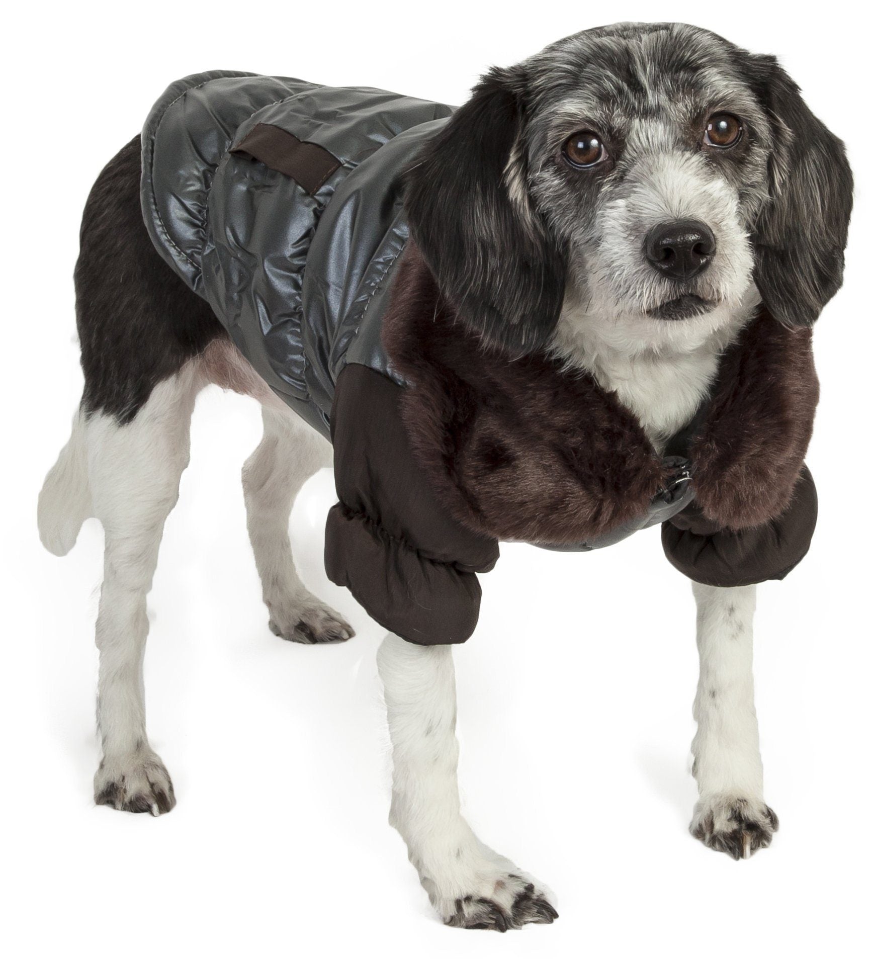 Dark gray insulated dog jacket with faux-fur track collar and brown padded trim