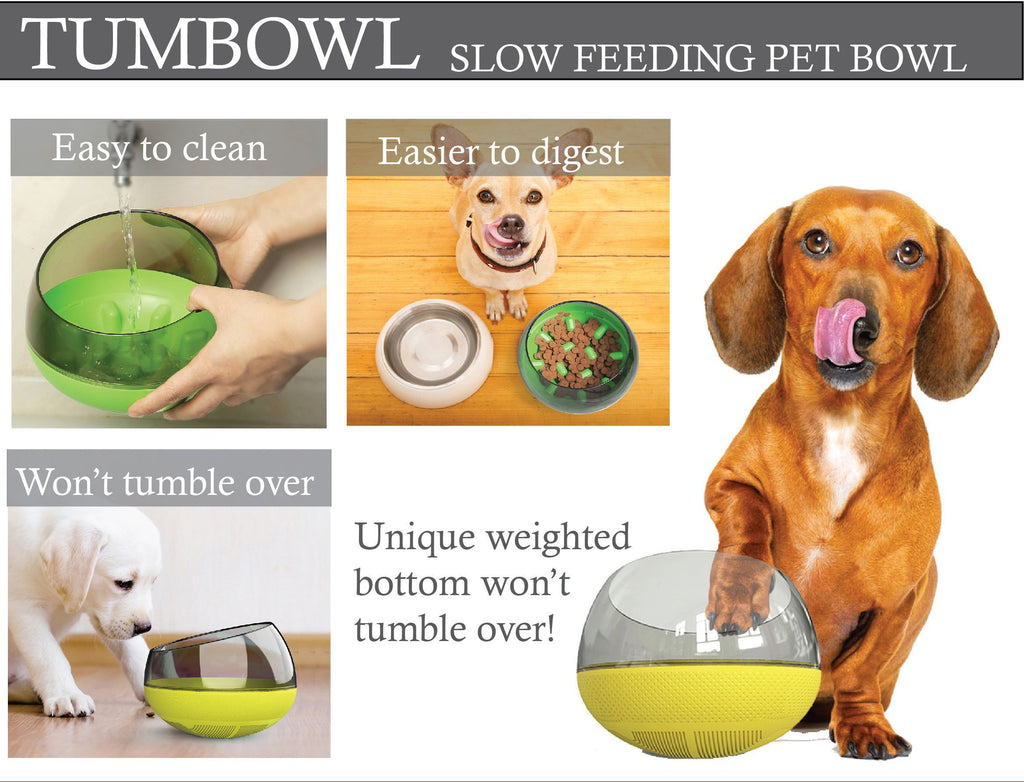 Slow feeding pet bowl infographic showing easy-to-clean design and weighted base