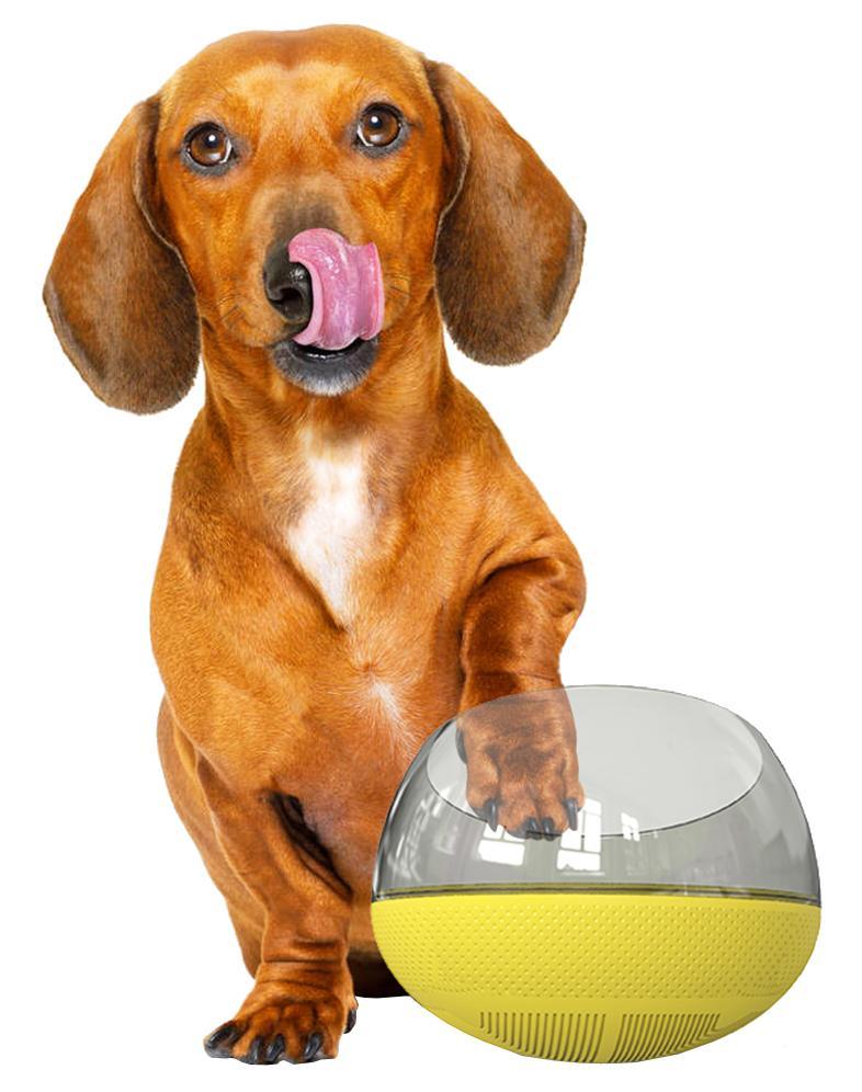 Slow feeding pet bowl, yellow base with clear dome and feeding insert, kibble around the insert