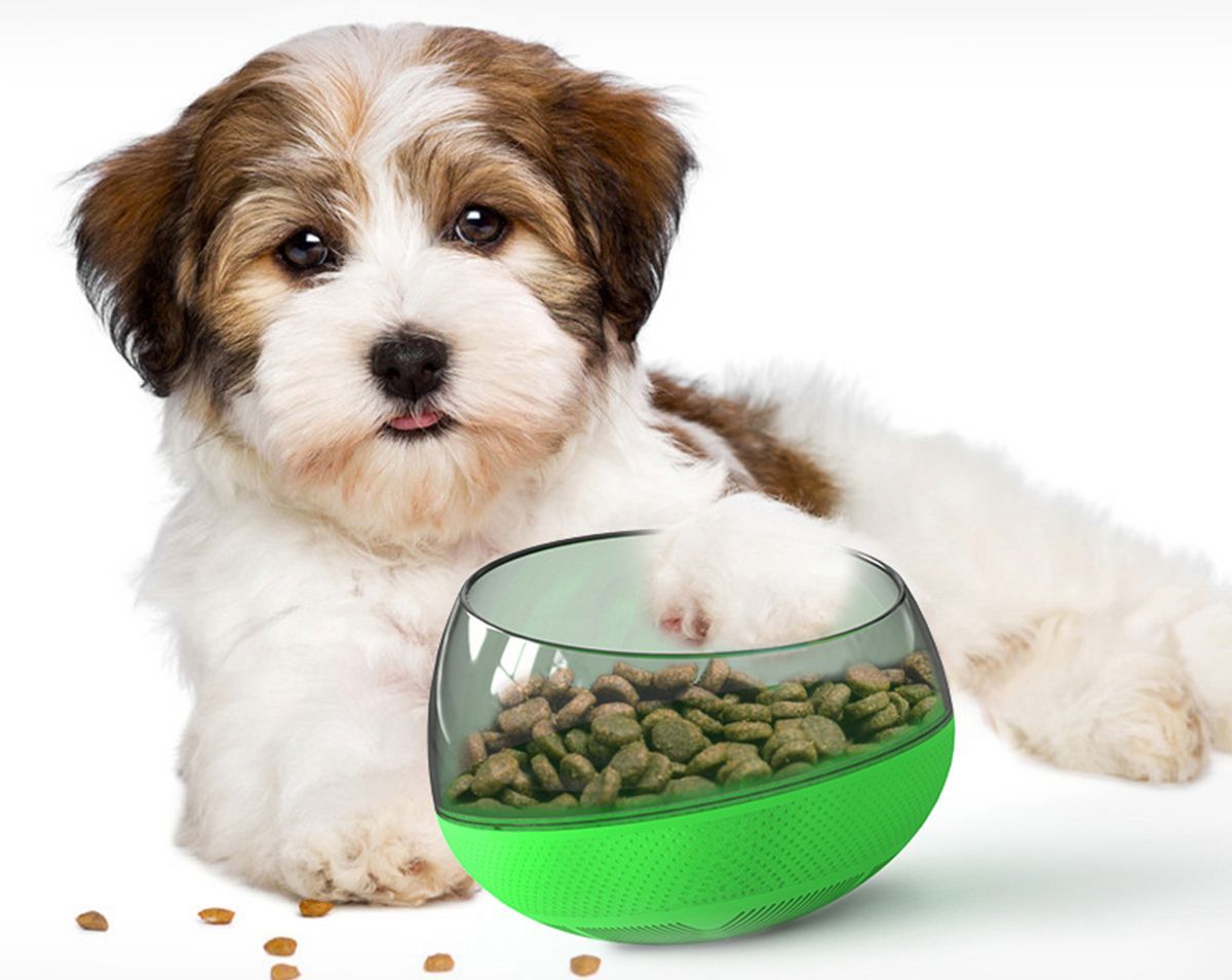 Slow feeding pet bowl, green base with clear dome and ridged feeding insert, kibble inside