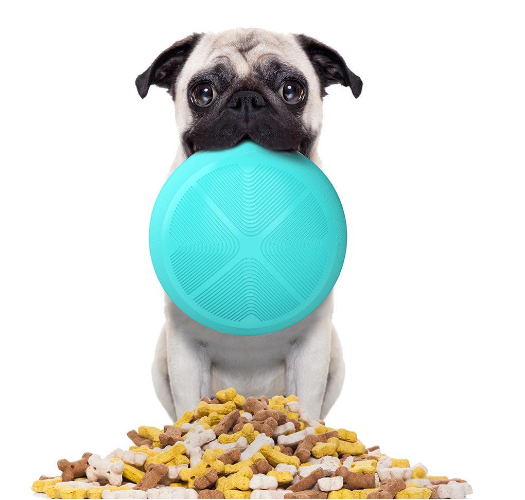 Slow feeding pet bowl, light blue textured base with clear dome and feeding bumps, kibble below