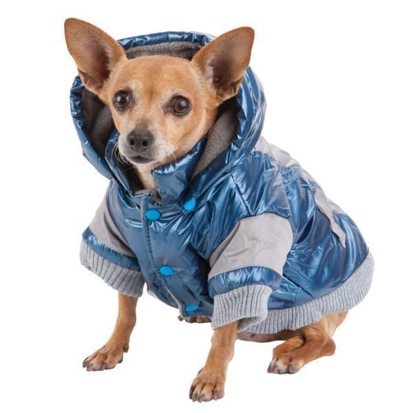 Insulated blue dog ski jacket with removable hood, gray knit cuffs, and blue button details