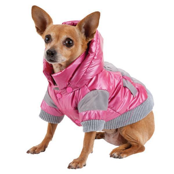 Insulated pink dog ski jacket with removable hood, gray knit cuffs, and button accents