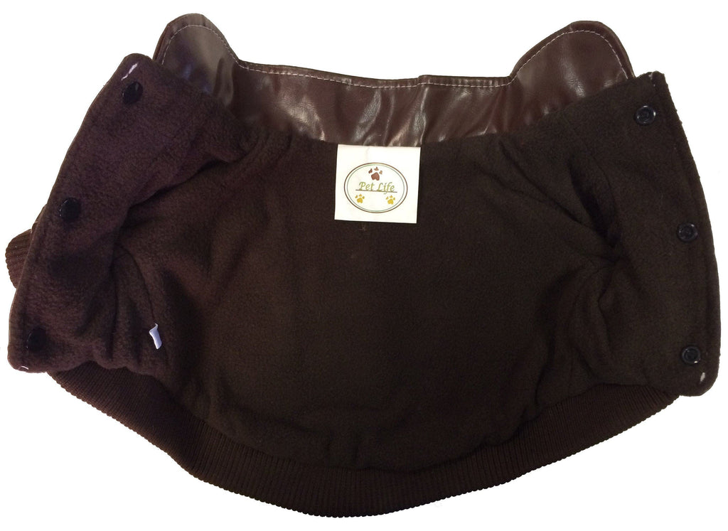 Brown dog jacket back with logo patch and button fastening