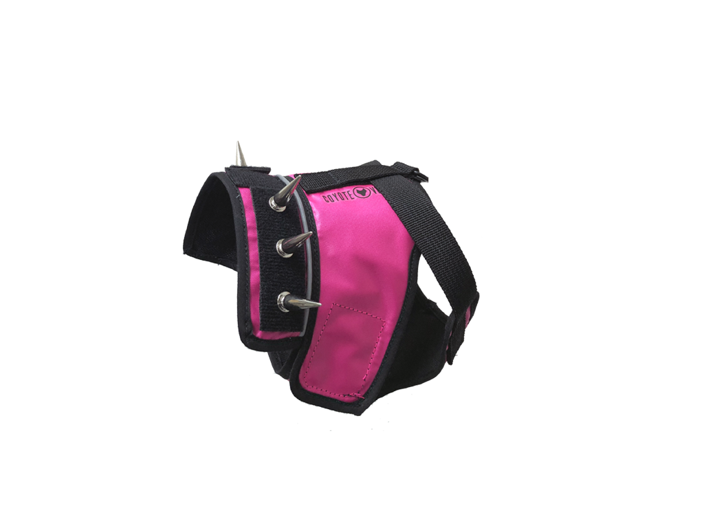 Neon pink panel harness with metal grommets and adjustable side strap