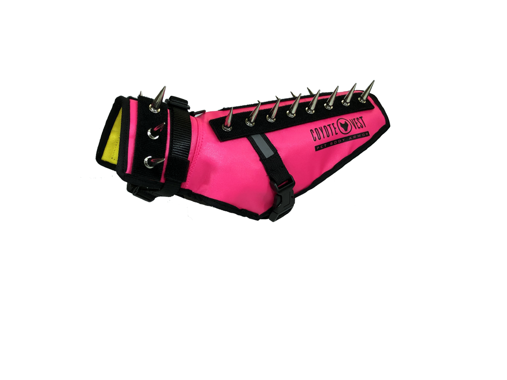 Pink protective dog vest with black spikes on collar and back; adjustable straps