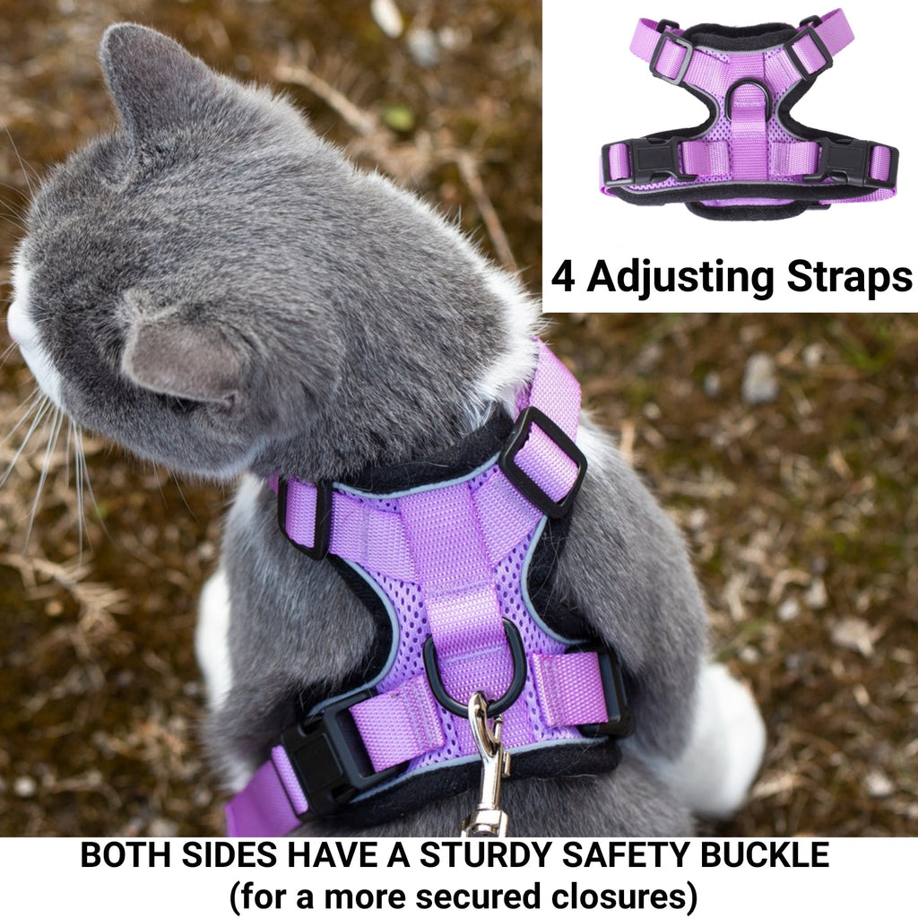 Lilac adjustable cat harness with safety buckle detail, on a gray-and-white cat