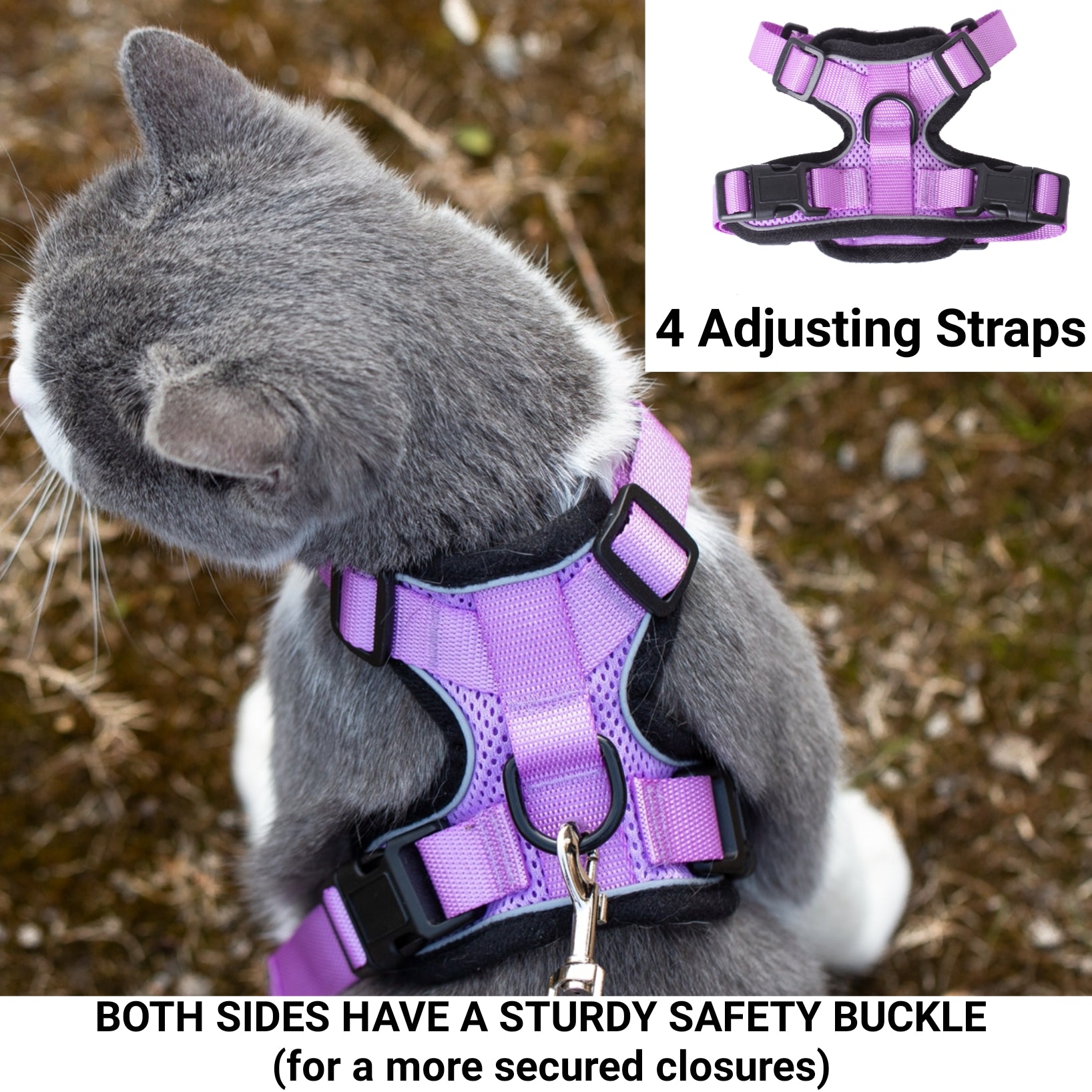 Lilac adjustable cat harness with safety buckle detail, on a gray-and-white cat
