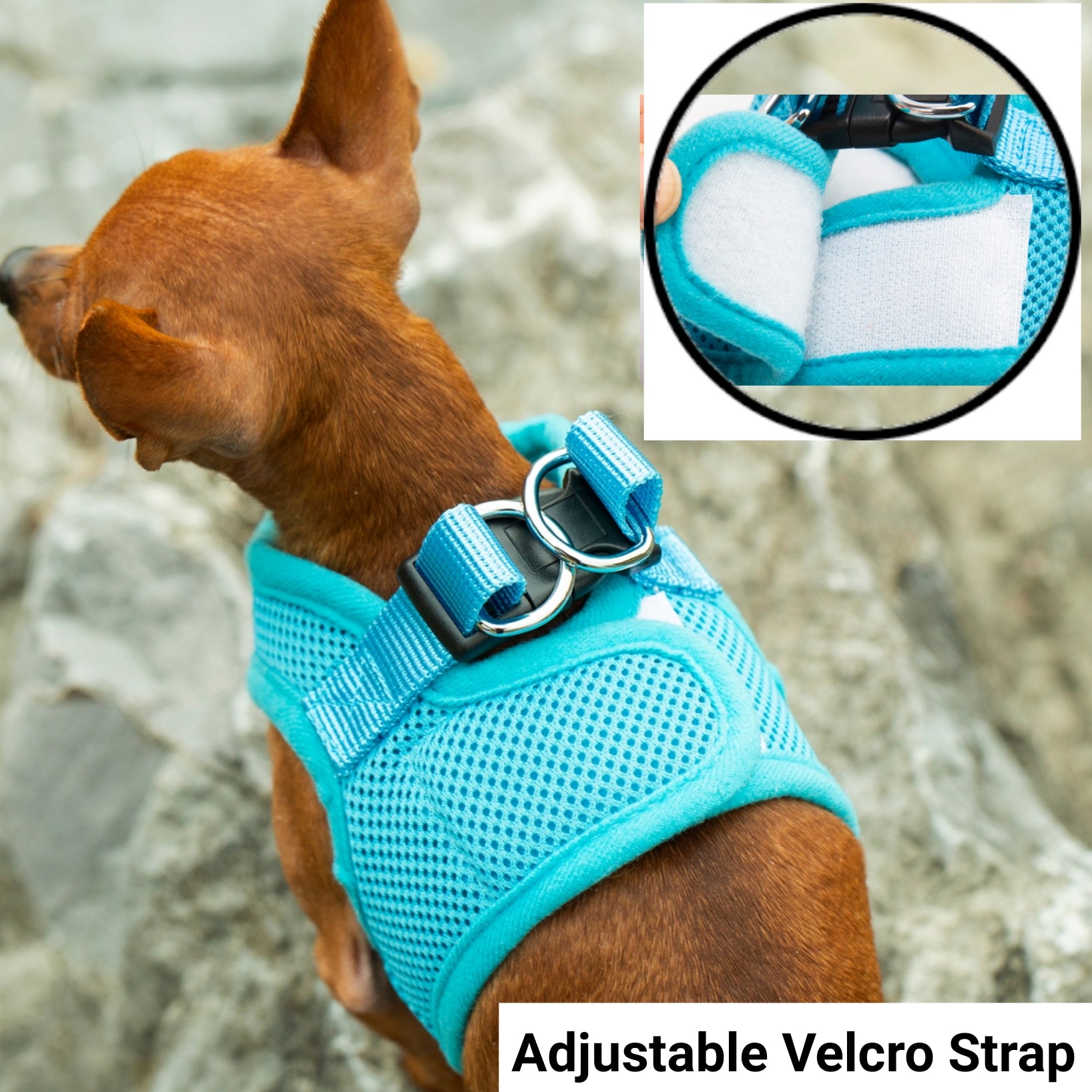 Blue soft mesh pet harness close-up with adjustable Velcro strap and metal rings