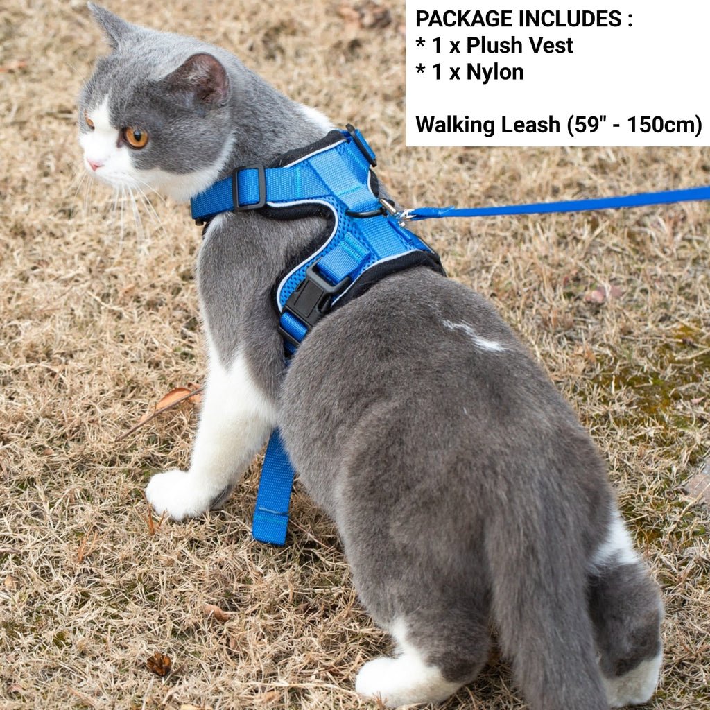 Blue cat harness with matching leash, nylon straps and black trim, on a gray-and-white cat