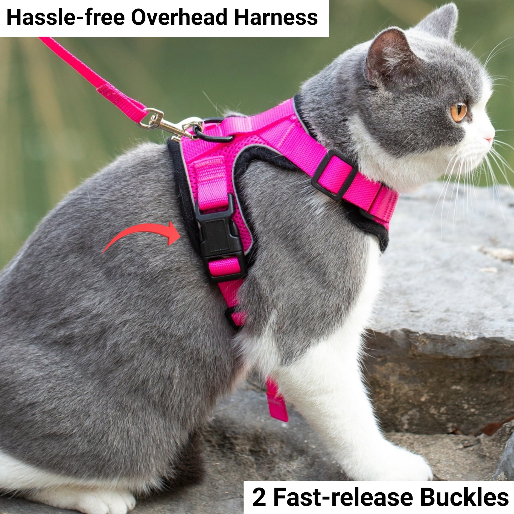 Pink reflective cat overhead harness with fasteners, on a gray-and-white cat