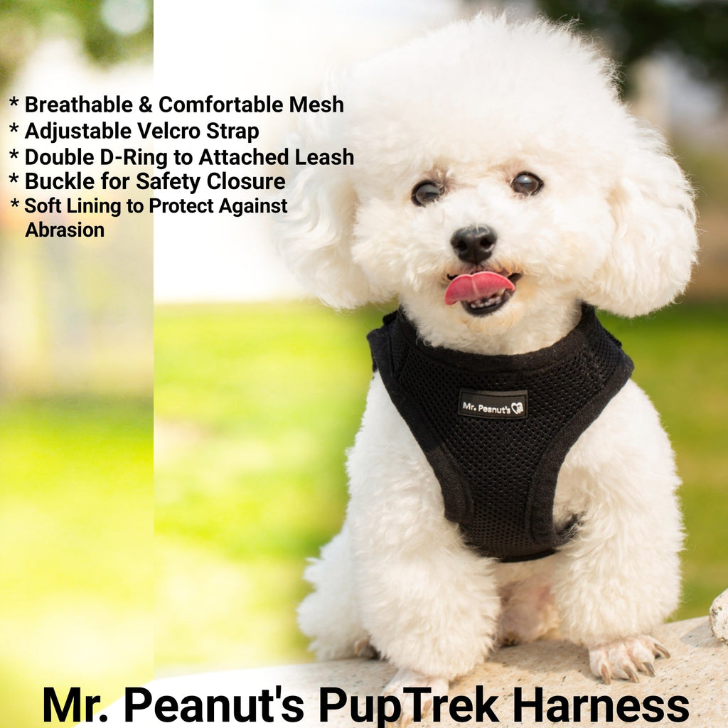 Black breathable mesh pet harness with adjustable Velcro strap and D-ring attachment