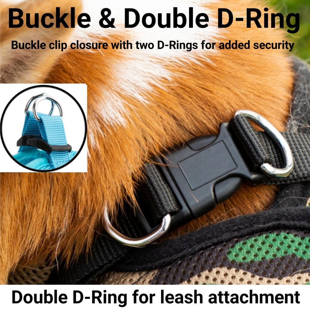 Black harness close-up showing buckle and two metal D-ring leash attachment points