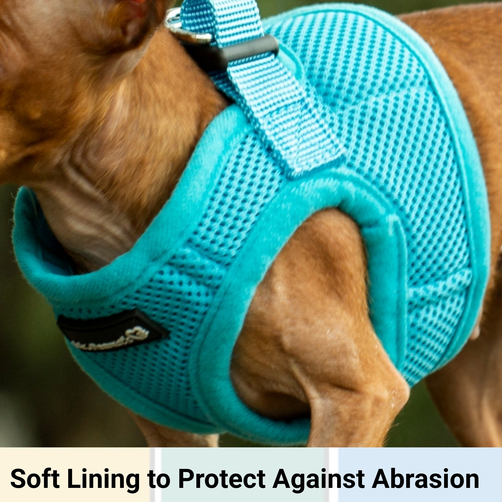 Turquoise soft mesh pet harness with adjustable straps and neck loop