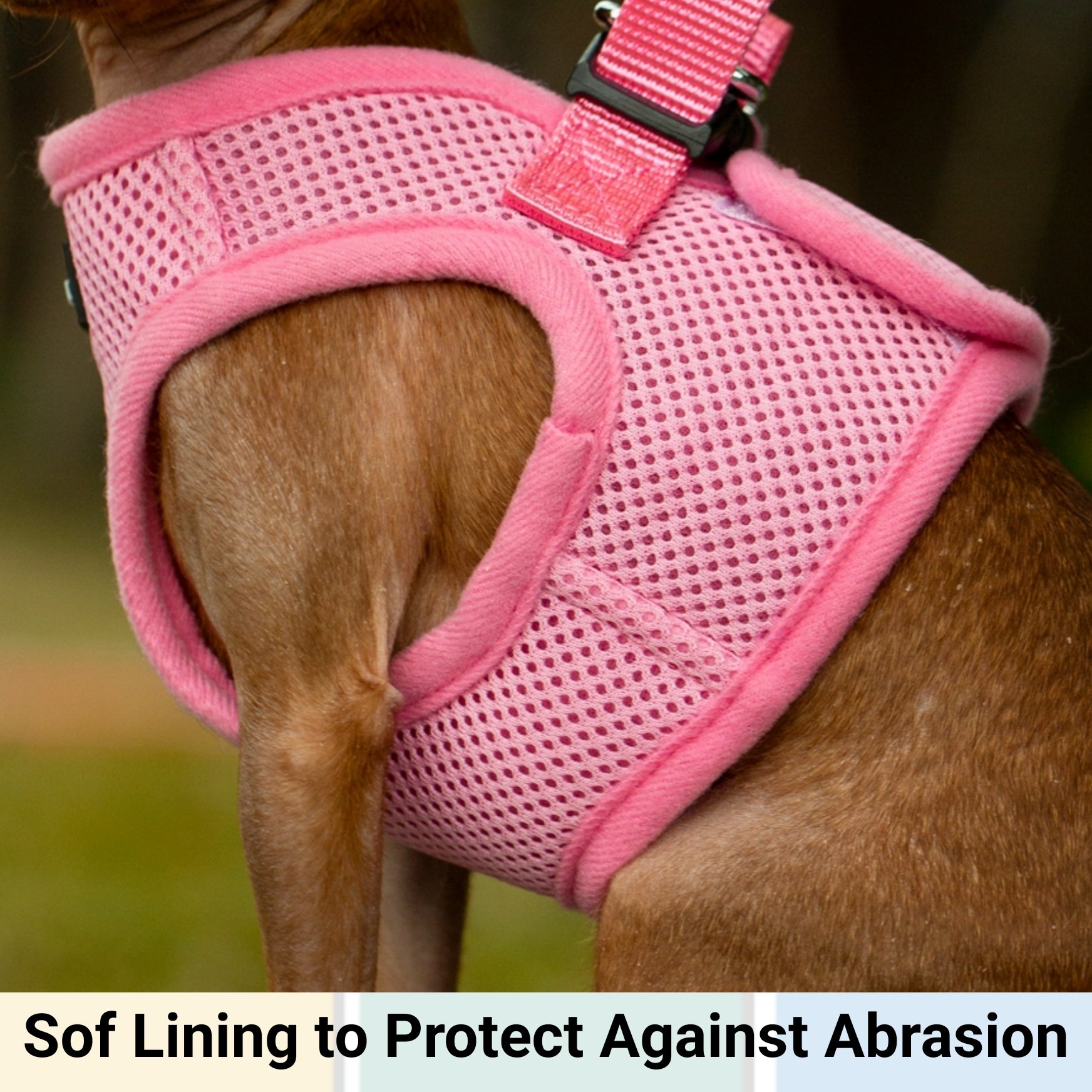 Pink soft mesh pet harness close-up on front padding and neck strap