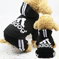 Adidog Four-Leg Tracksuit Hoodie — Sporty Dog Jumpsuit in 7 Colors, Sizes XS–2XL