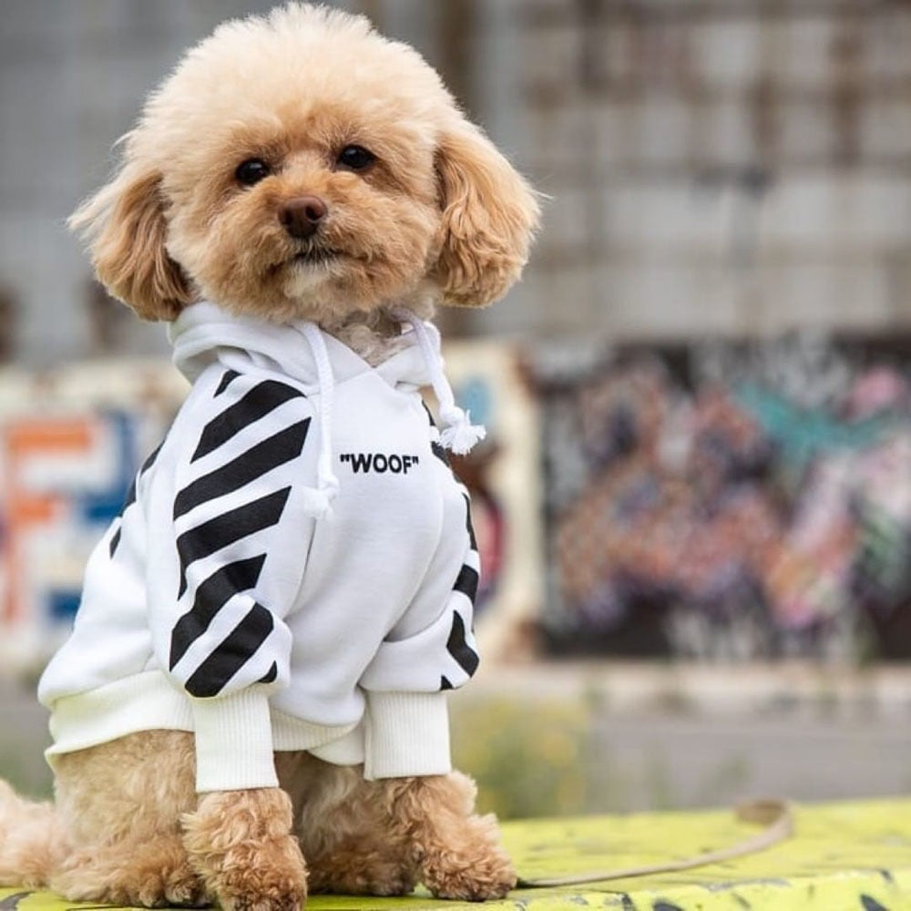 Fresh Pawz Woof Dog Hoodie — Bold Streetwear for Dogs, 3 Colors, Sizes S–2XL