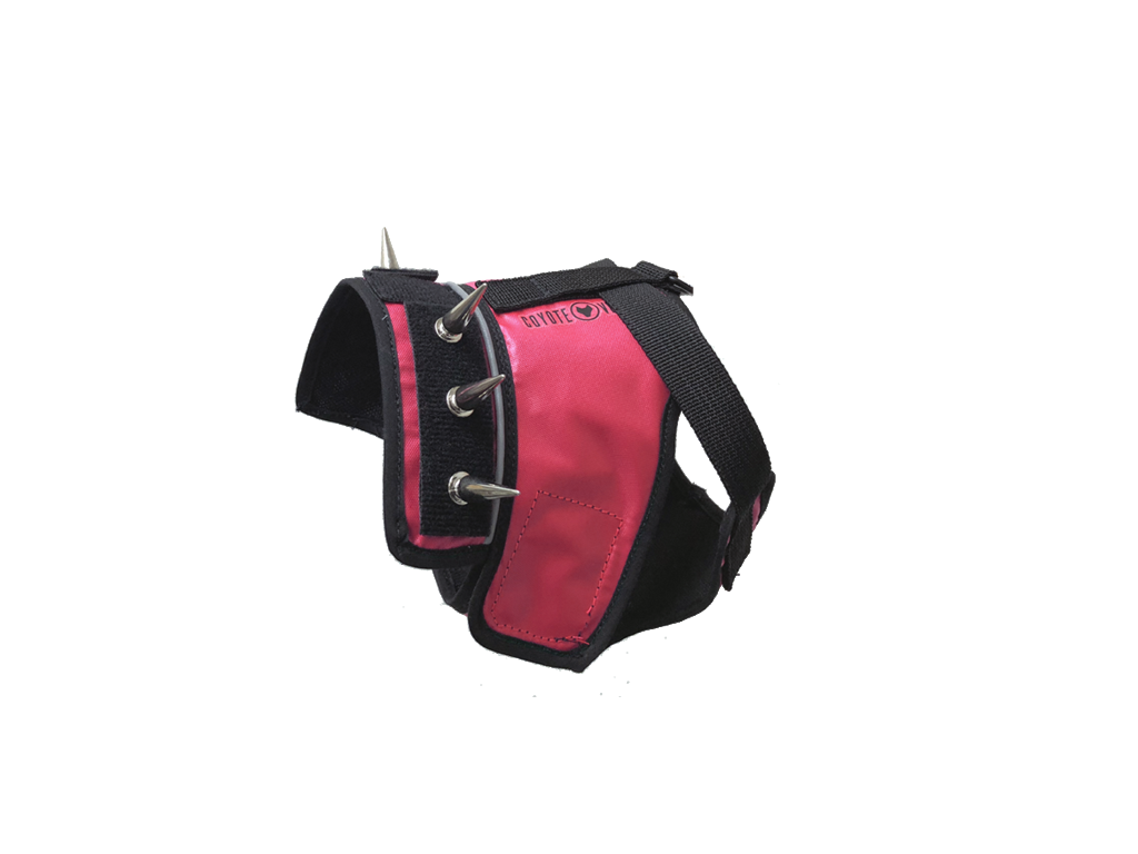 Dog harness with black base and bright fuchsia padded front panel, metal ring snaps