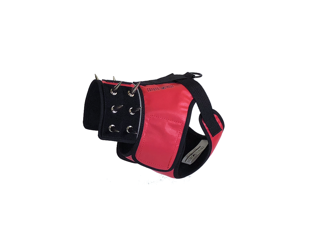 Dog harness with black base and red-pink padded front panel, metal ring snaps
