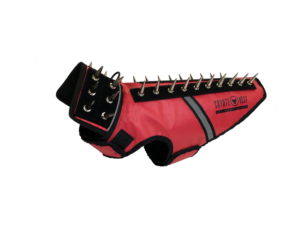 Spiked dog vest, red with black straps, white stripe and metal studs