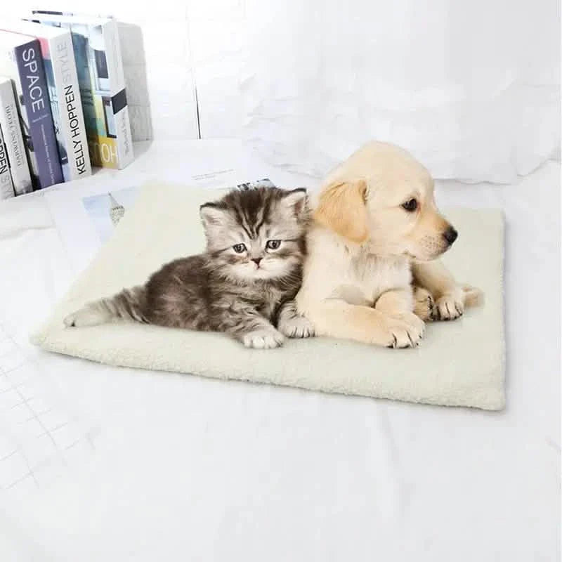 Self-heating pet mat in light beige with kitten and puppy resting side by side
