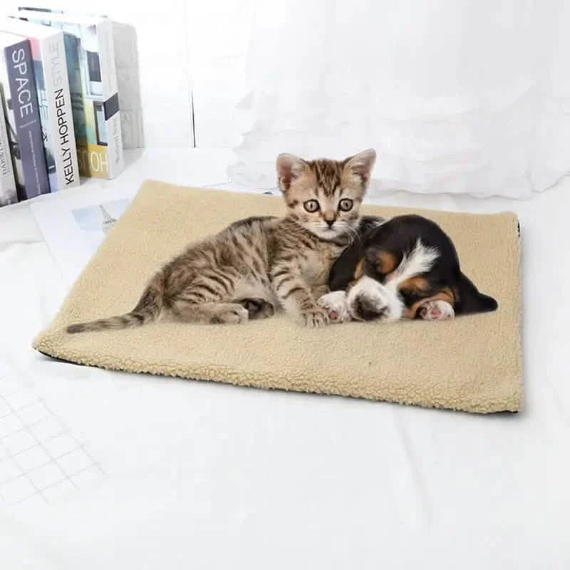 Self-heating pet mat in khaki with cat and small dog lying together