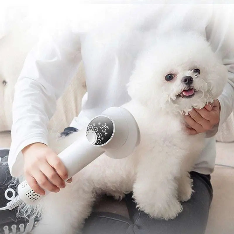 Pet hair dryer with 2-in-1 blowing comb, used near a small white dog
