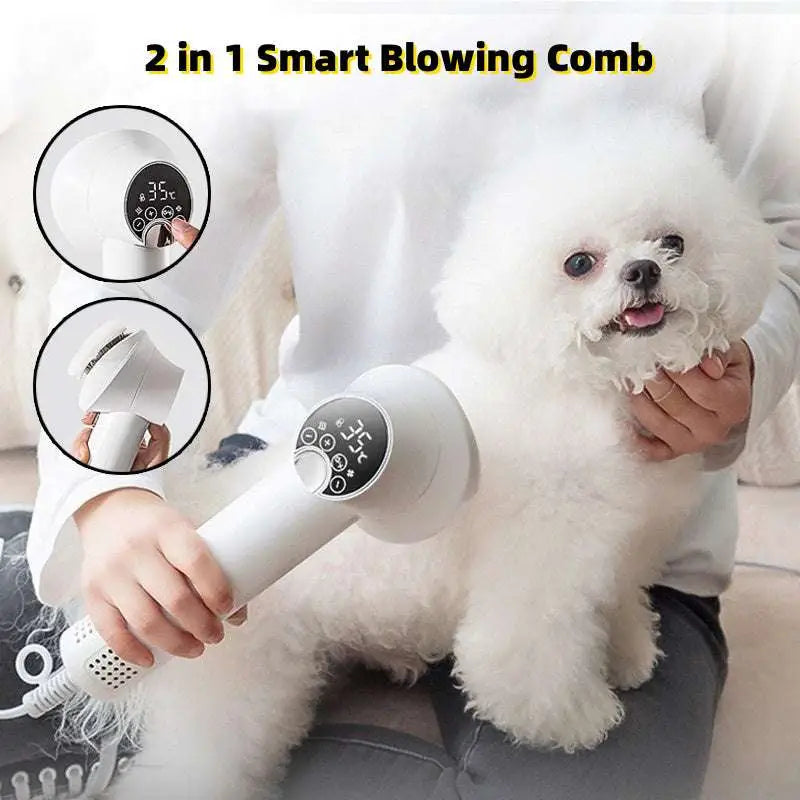 Pet hair dryer with 2-in-1 blowing comb, in use on a small white dog