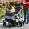 Travel pet stroller with gray fabric canopy and black mesh sides, seen with pet inside