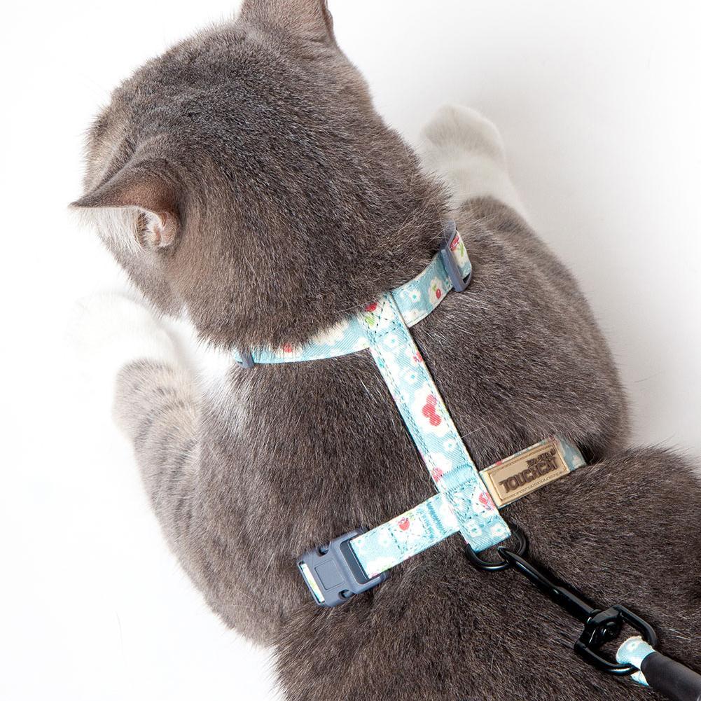 Sky blue floral cat harness on gray cat, showing chest strap and leash connection