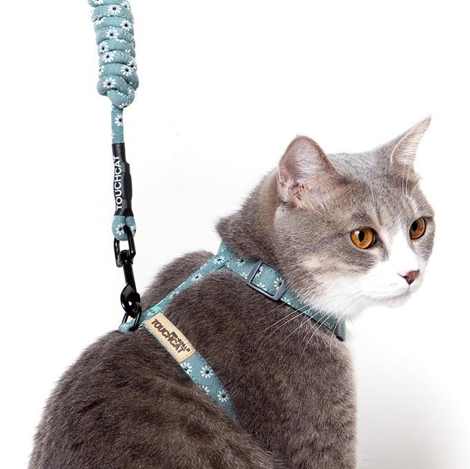 Gray cat wearing sky blue floral harness with matching leash and side release buckle