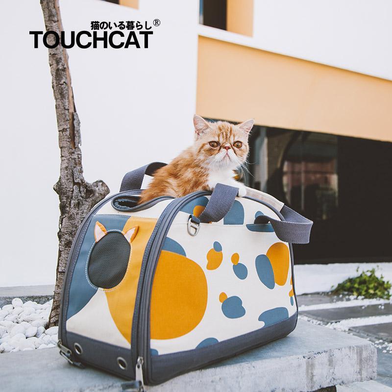 Blue-and-white patterned collapsible cat carrier with top carry strap and zipper door