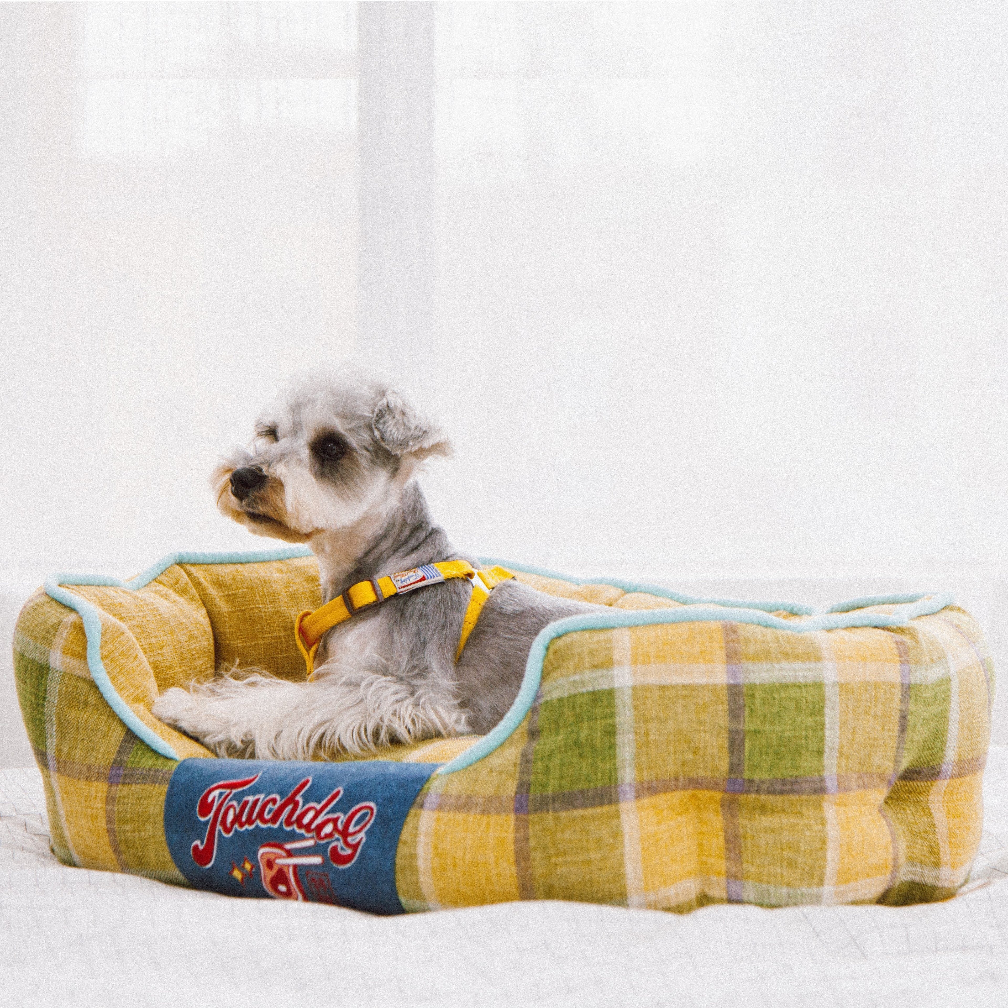 Yellow plaid oval dog bed with light blue trim and dog lounging inside