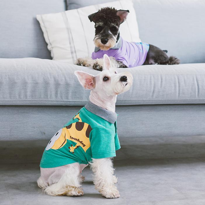 Green dog polo T-shirt with gray collar and toucan graphic, worn by a small dog