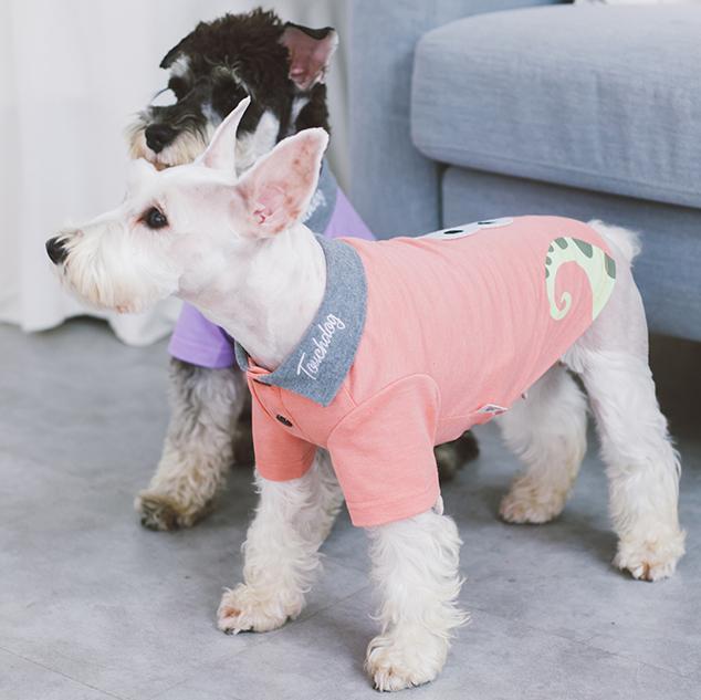Peach dog polo T-shirt with gray collar and toucan graphic, worn by a small dog
