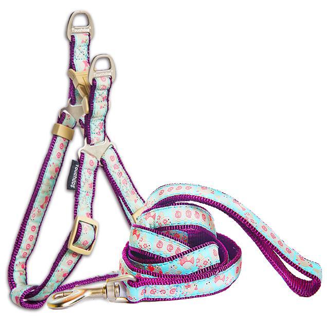 Blue patterned dog harness with purple trim, matching leash and metal D-ring