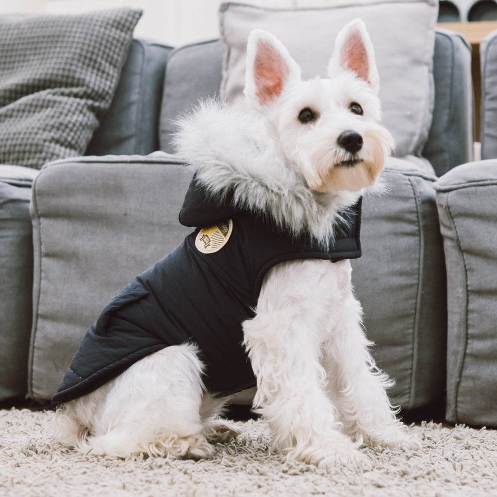 Black insulated dog parka with faux-fur hood trim and logo patch