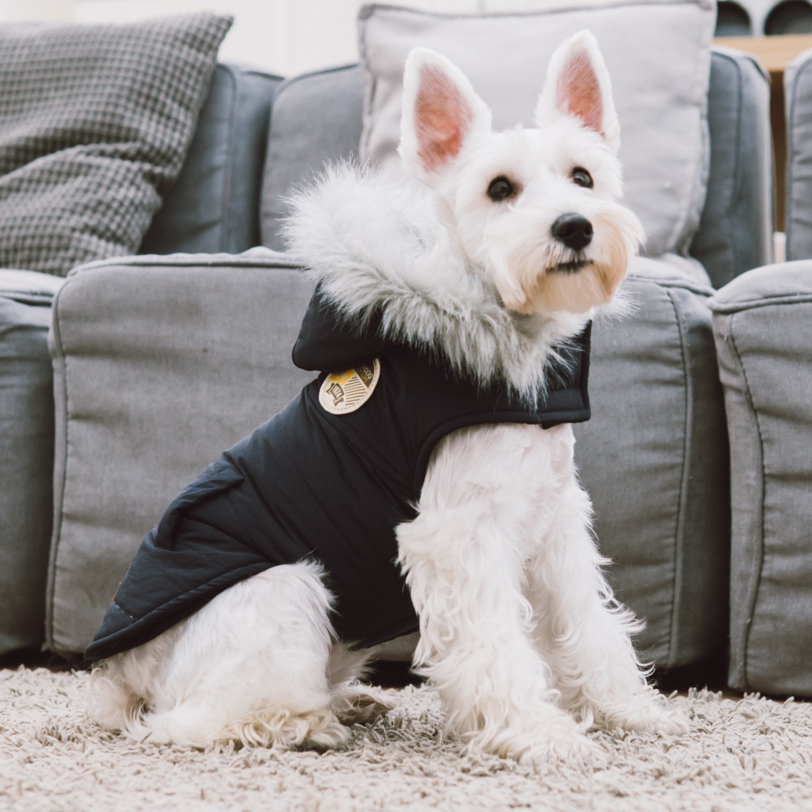 Black insulated dog parka with faux-fur hood trim and logo patch