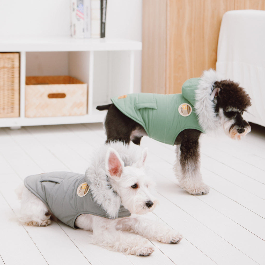 Mint green dog parka with faux-fur hood on small white dog, full body view