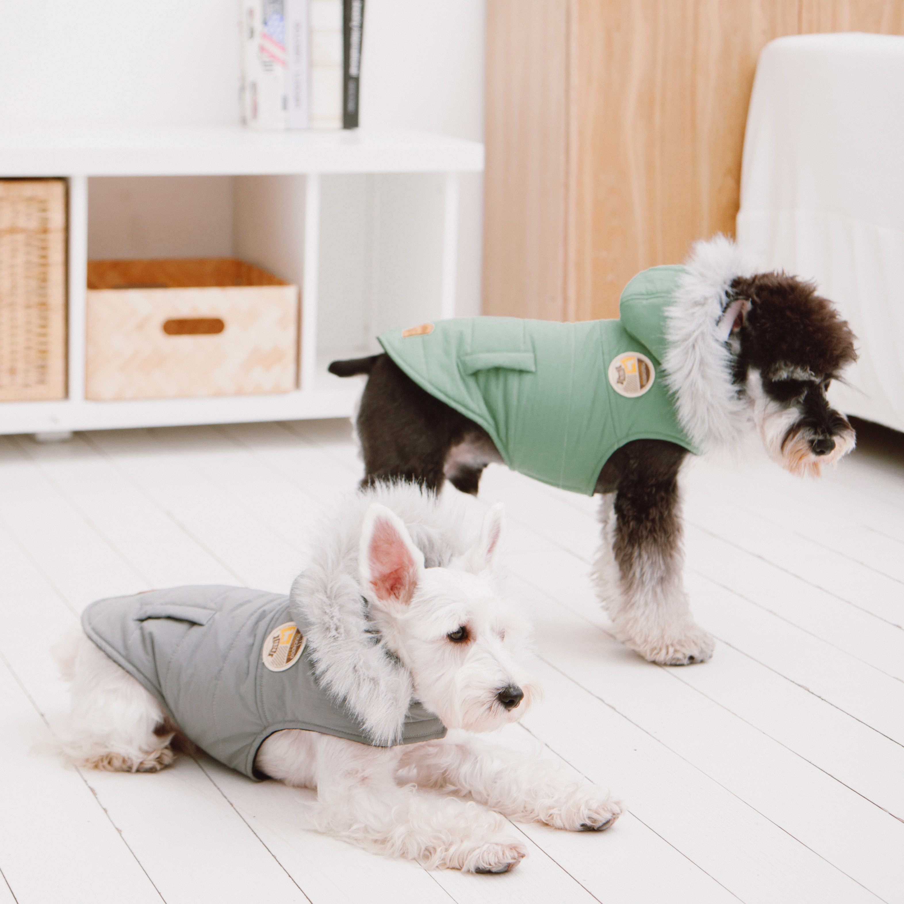 Mint green dog parka with faux-fur hood on small white dog, full body view
