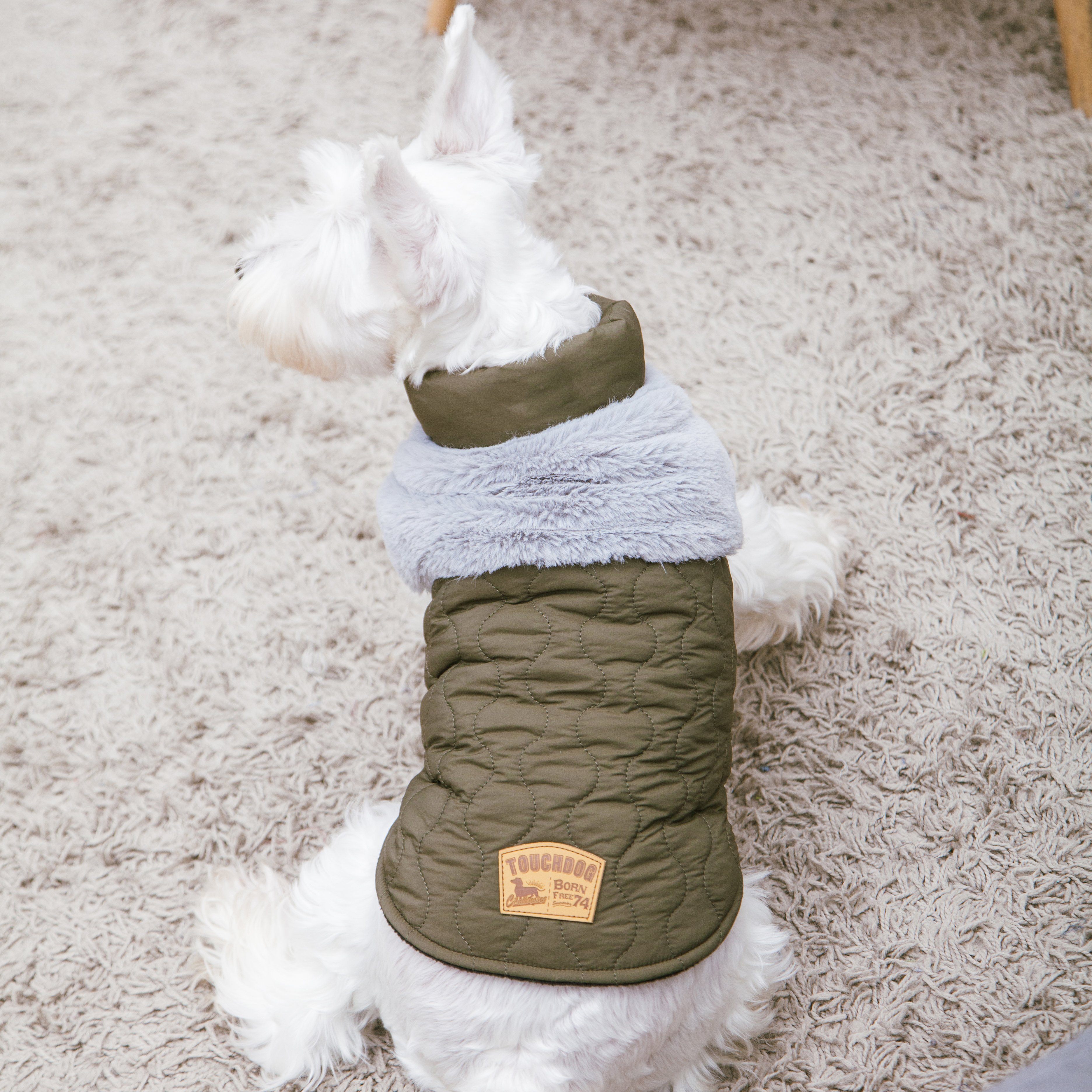 Olive green dog jacket on a dog with fluffy light-gray sherpa trim and button front