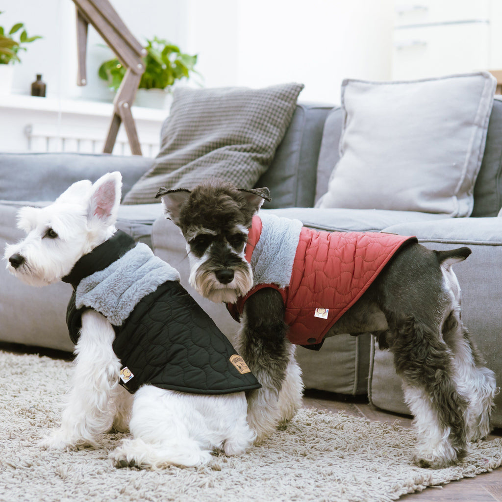 Red dog jacket on a dog, fluffy light-gray sherpa lining and front button closure