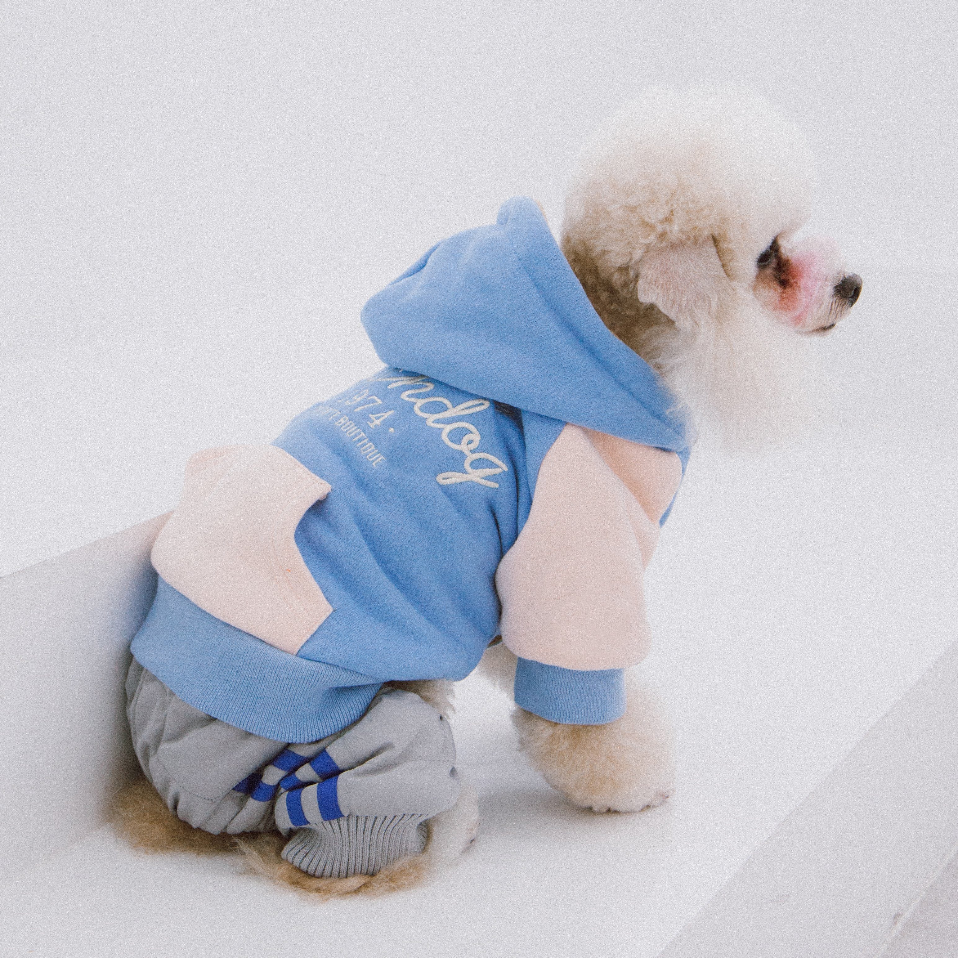 Blue dog hoodie sweater with hood and “Touchdog 1974” graphic, pet sitting pose.