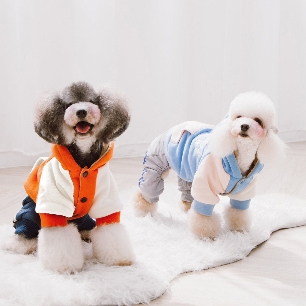 Dogs modeling orange and blue dog hoodie sweaters with contrast sleeves and hoodies.